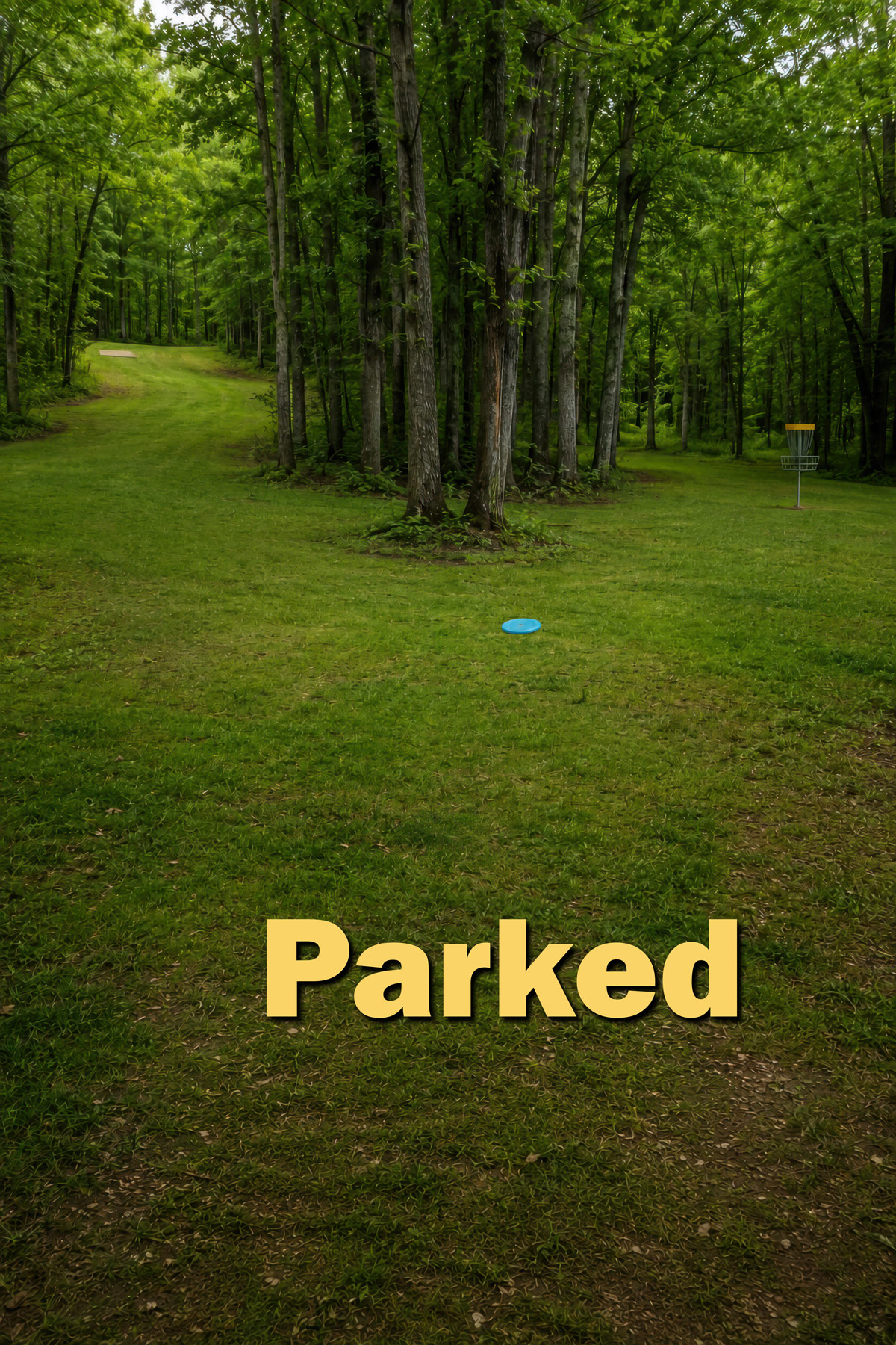 Parked disc golf illustration